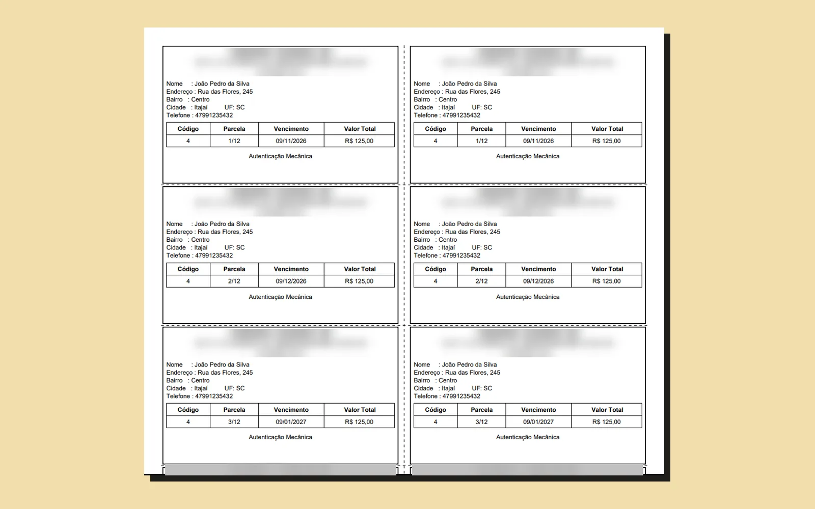 Carnê gerado em PDF: uma folha por parcela, com dados do cliente, número da parcela, vencimento e valor